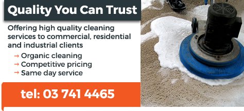 carpet cleaners services